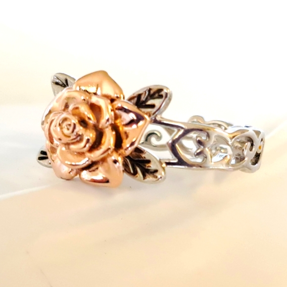 Silver and Rose Gold Ring - Picture 2 of 6